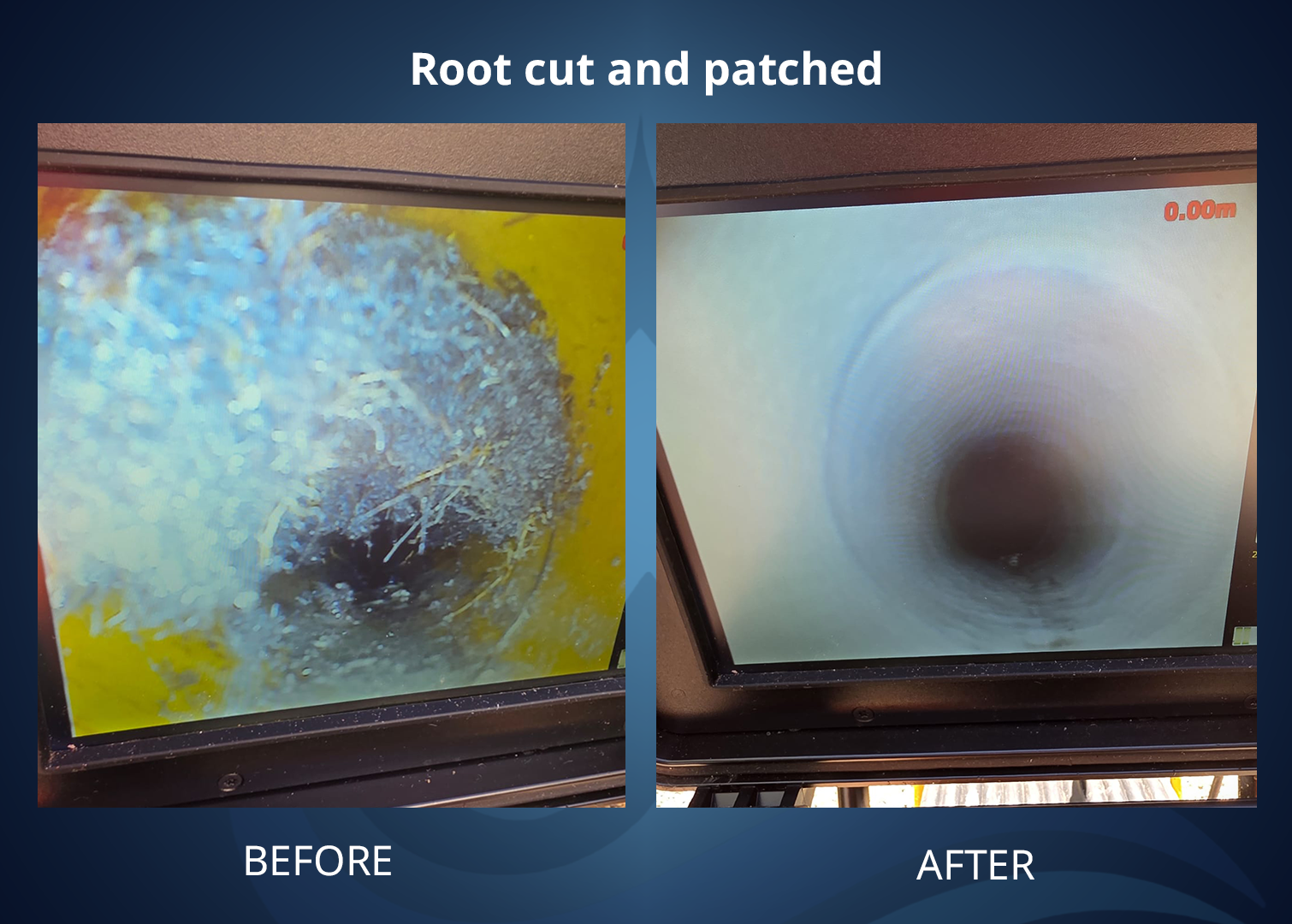 before-after-root-cut-and-patched
